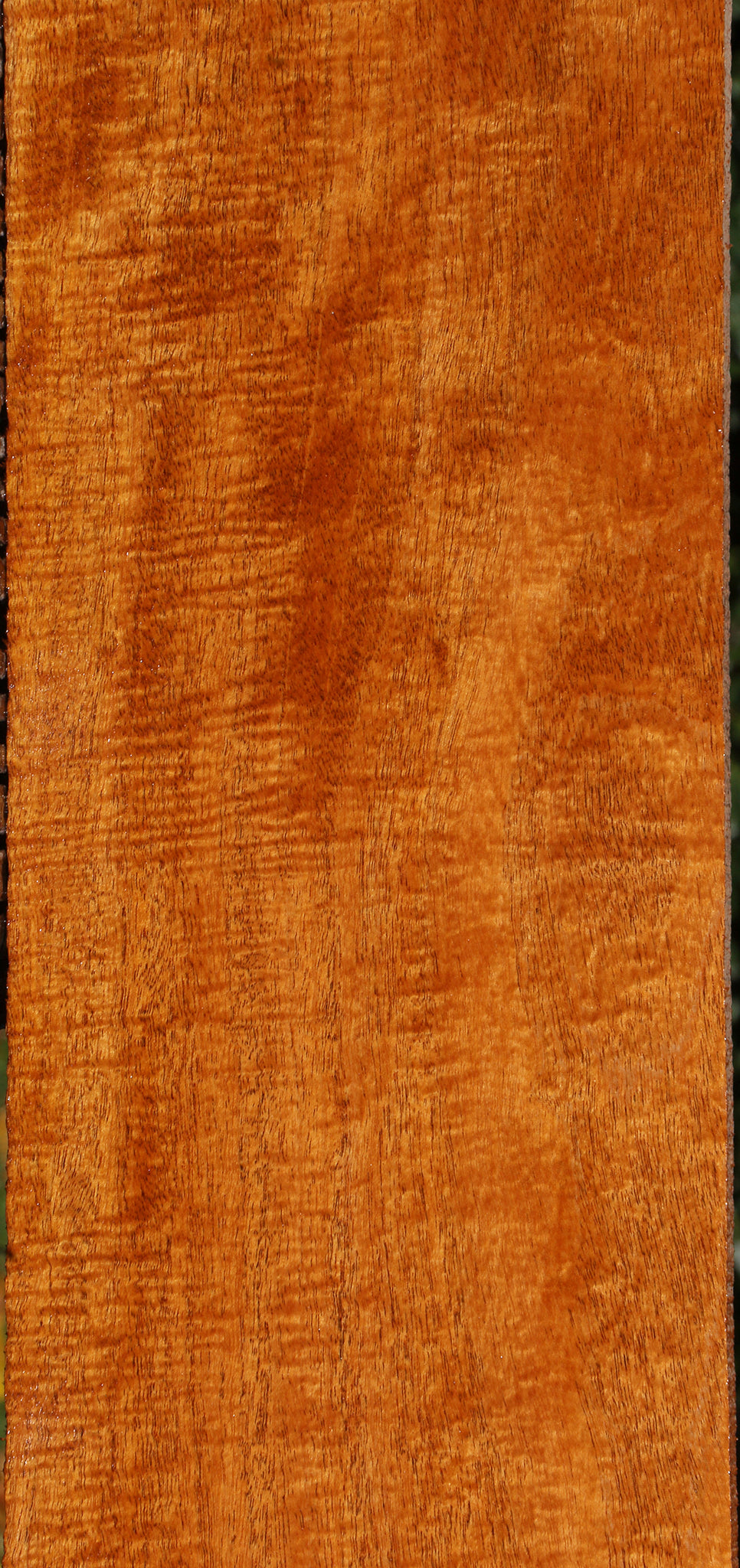 Extra Fancy Fiddleback Honduras Mahogany Lumber