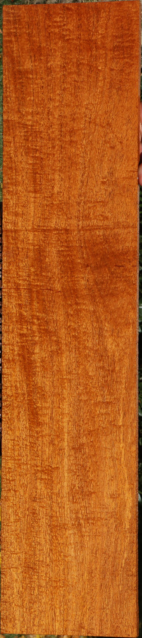 Extra Fancy Fiddleback Honduras Mahogany Lumber