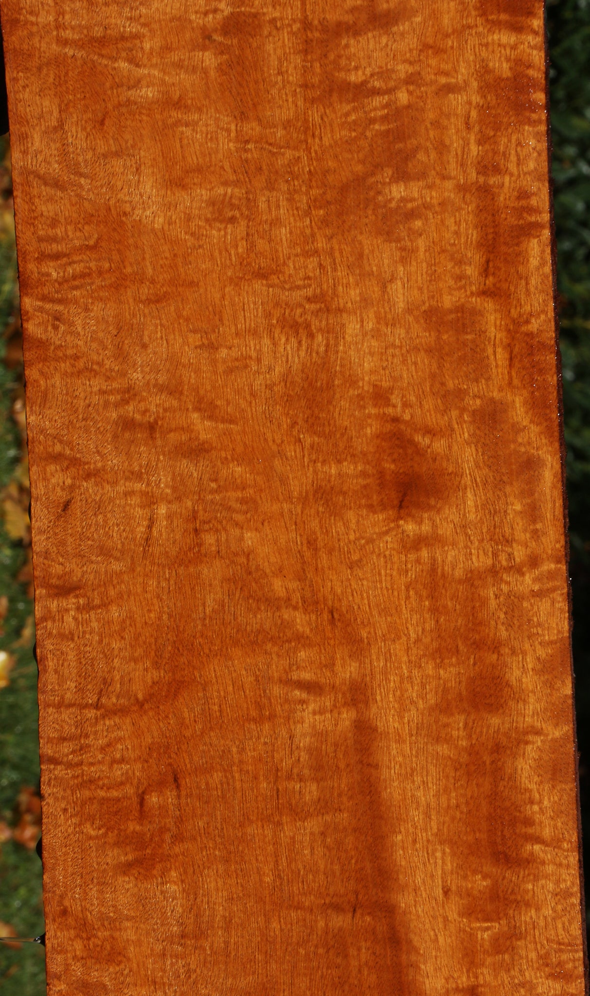 Extra Fancy Honduras Mahogany Lumber