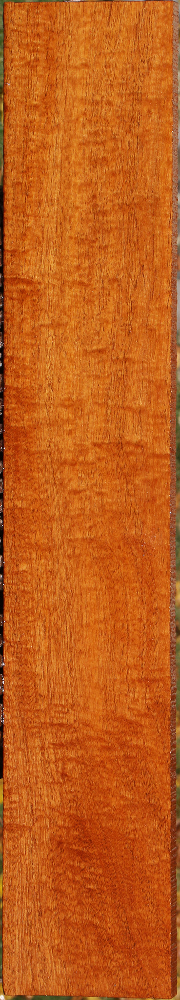 Extra Fancy Fiddleback Honduras Mahogany Lumber