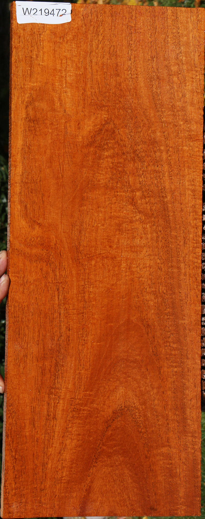 Extra Fancy Fiddleback Honduras Mahogany Lumber