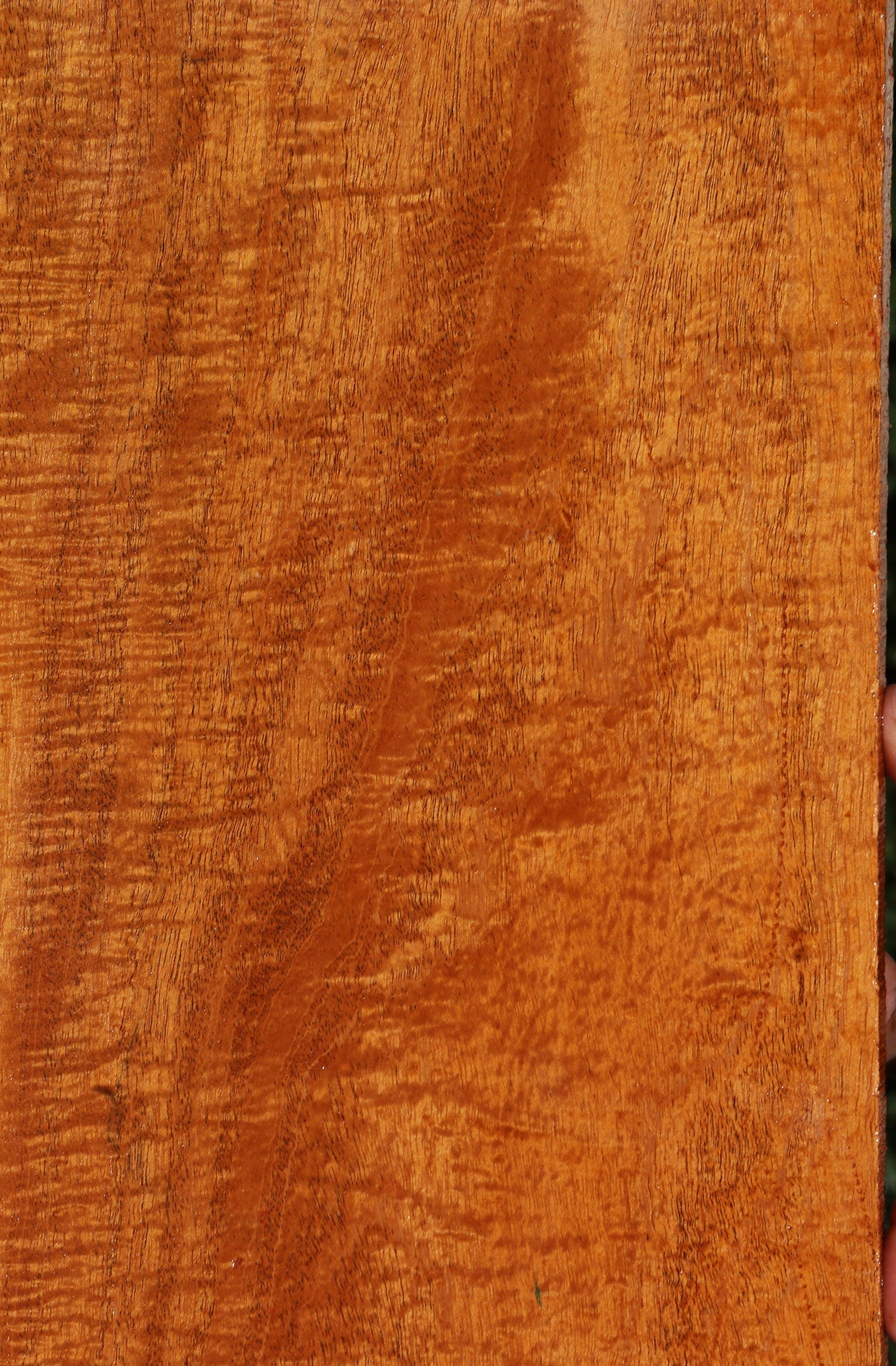 Extra Fancy Fiddleback Honduras Mahogany Lumber