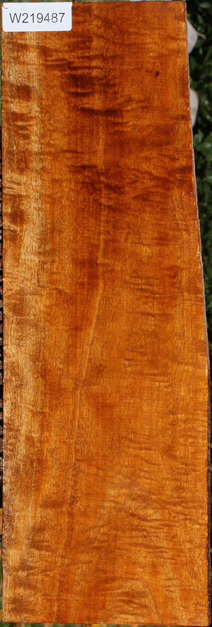 Extra Fancy Fiddleback Honduras Mahogany Lumber