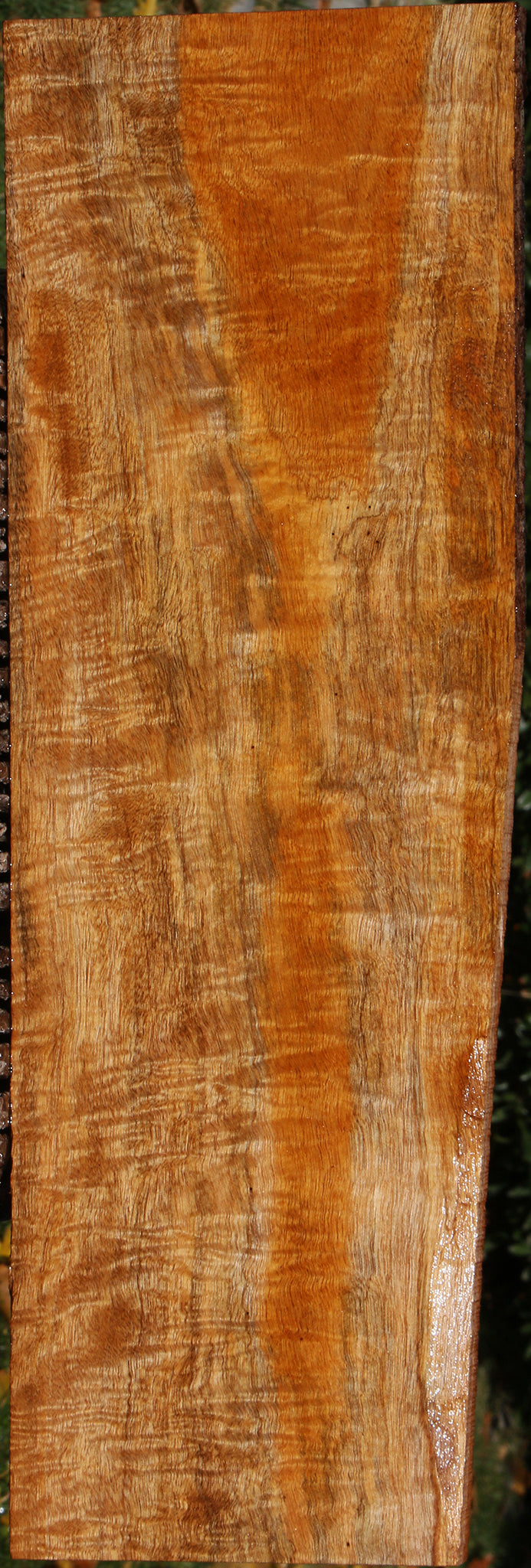 Extra Fancy Fiddleback Honduras Mahogany Lumber