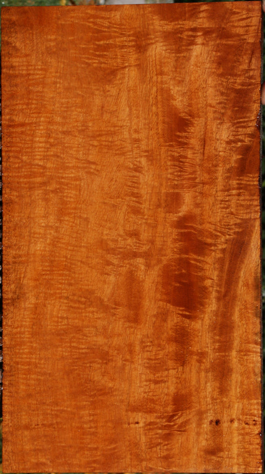 Exhibition Fiddleback Honduras Mahogany Lumber