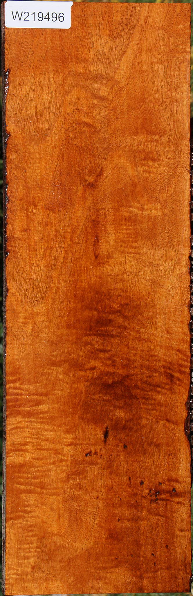 Extra Fancy Fiddleback Honduras Mahogany Lumber