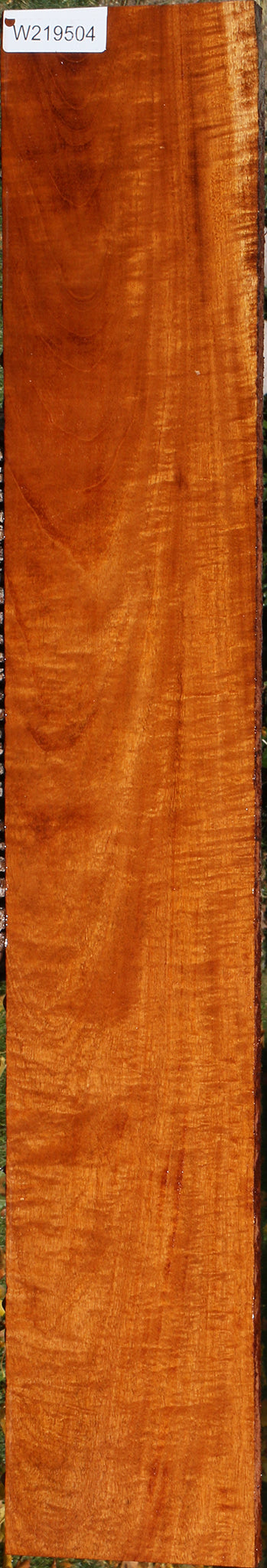 Extra Fancy Fiddleback Honduras Mahogany Lumber