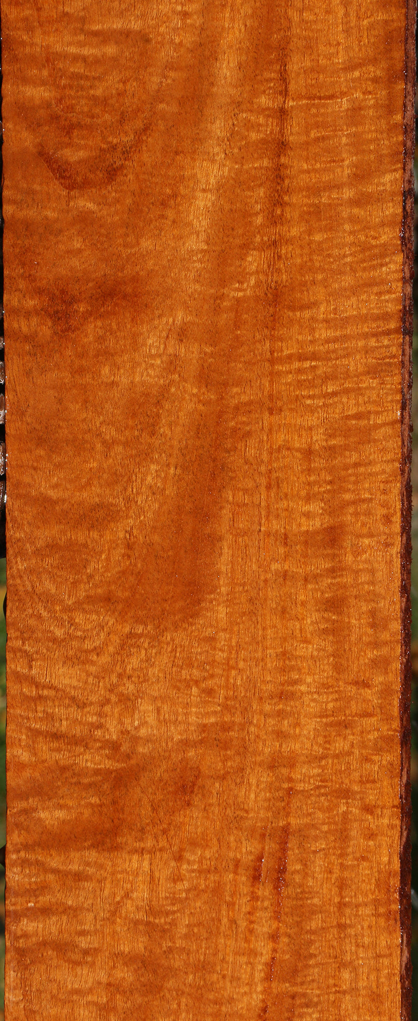 Extra Fancy Fiddleback Honduras Mahogany Lumber