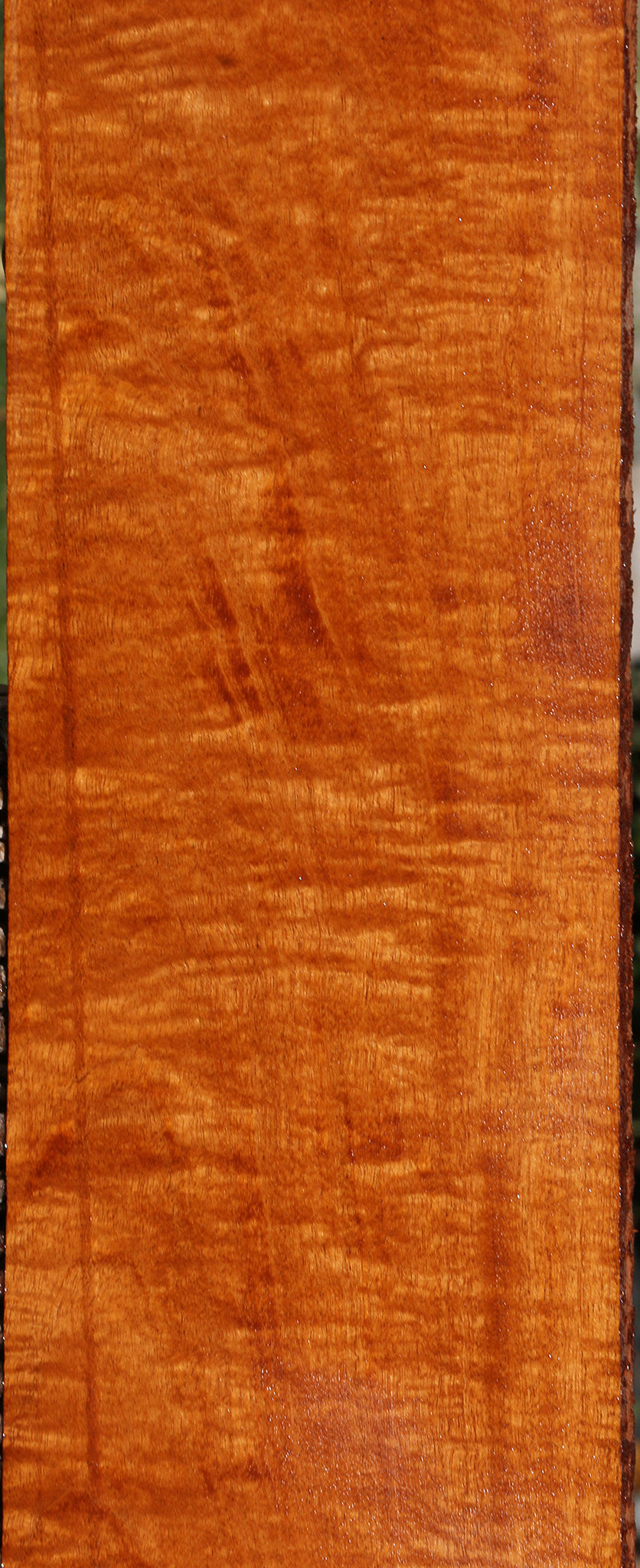 Extra Fancy Fiddleback Honduras Mahogany Lumber