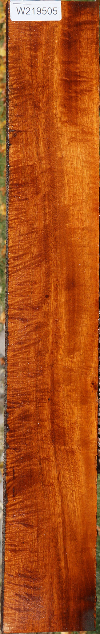 Extra Fancy Fiddleback Honduras Mahogany Lumber