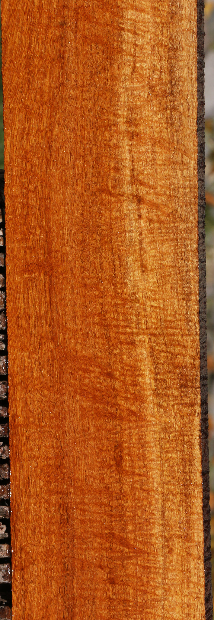 Extra Fancy Fiddleback Honduras Mahogany Lumber