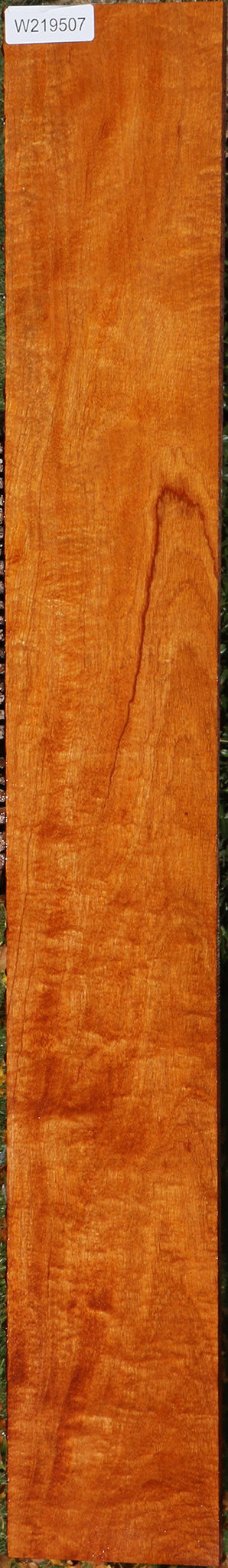 Exhibition Honduras Mahogany Lumber