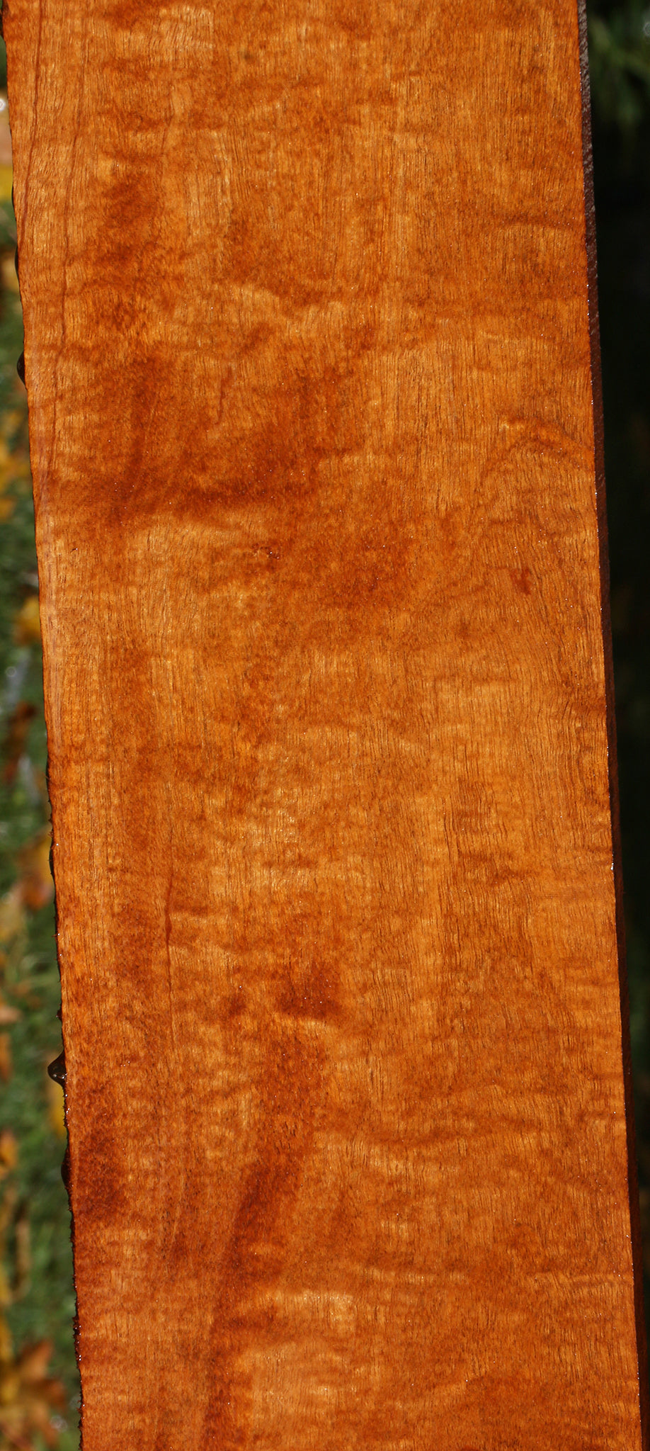 Exhibition Honduras Mahogany Lumber