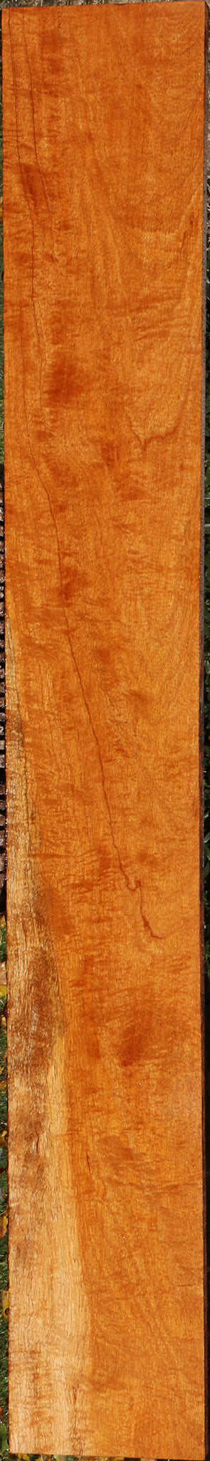 Exhibition Honduras Mahogany Lumber