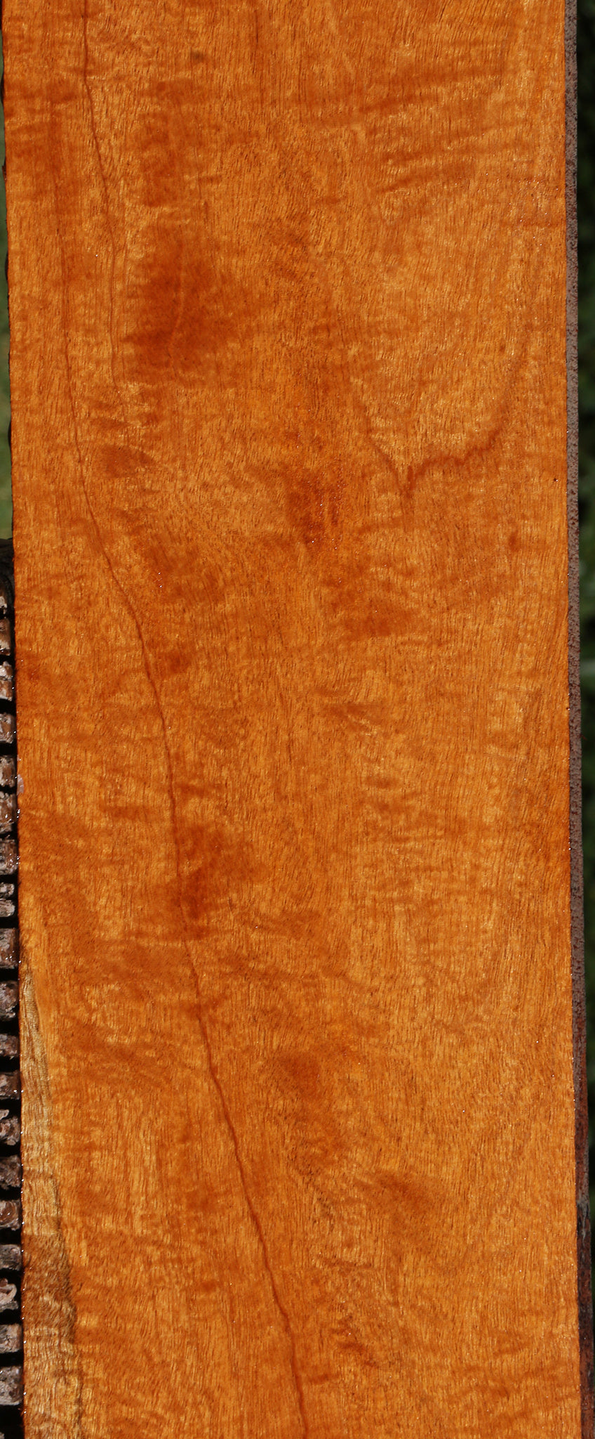 Exhibition Honduras Mahogany Lumber