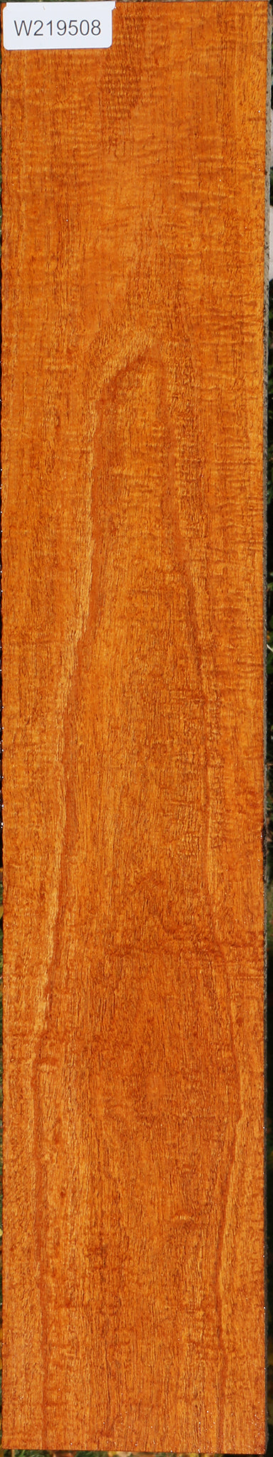 Exhibition Fiddleback Honduras Mahogany Lumber