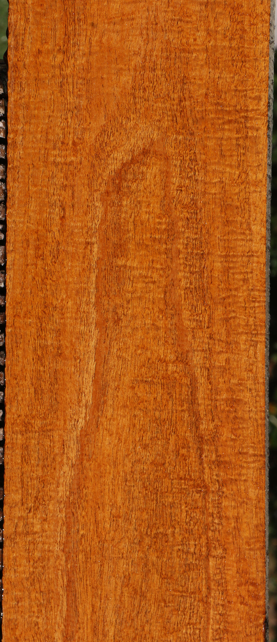 Exhibition Fiddleback Honduras Mahogany Lumber