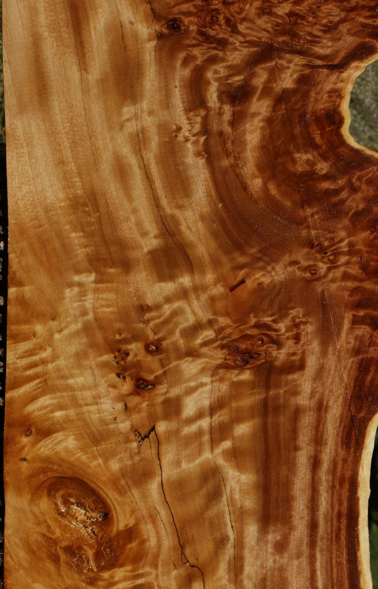 Extra Fancy California Cottonwood Burl Live Edge Lumber