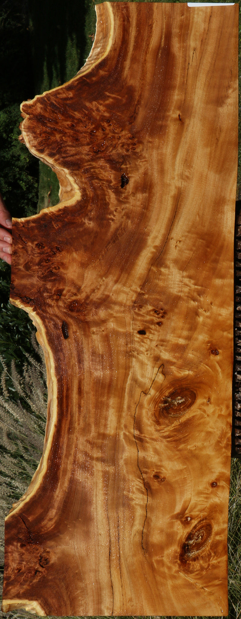 Extra Fancy California Cottonwood Burl Live Edge Lumber