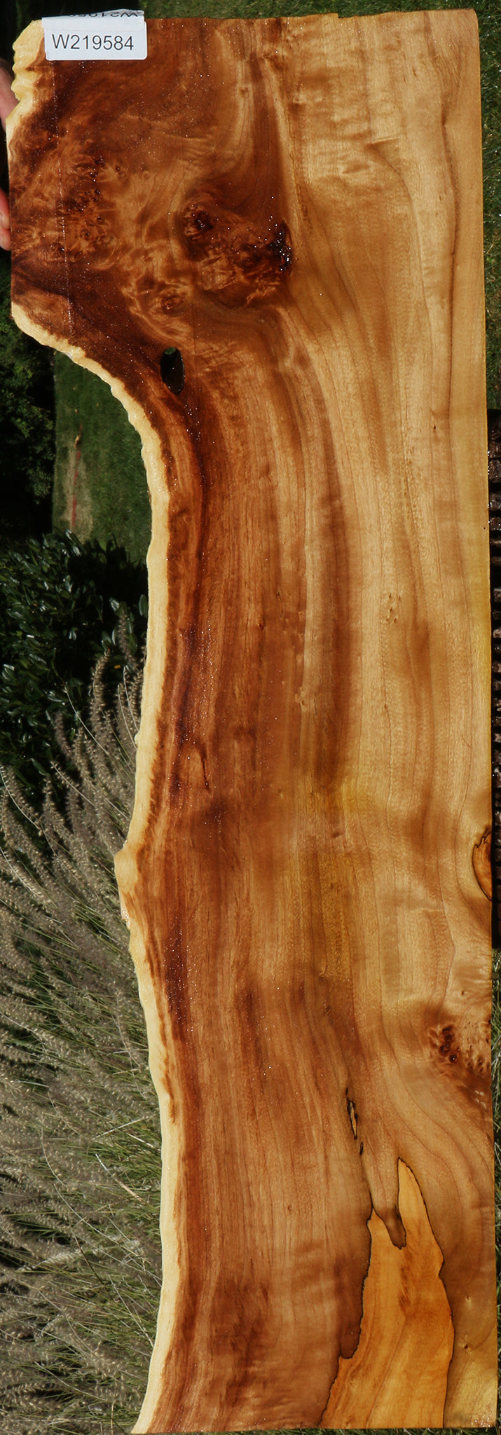 Figured Spalted California Cottonwood Burl Live Edge Lumber