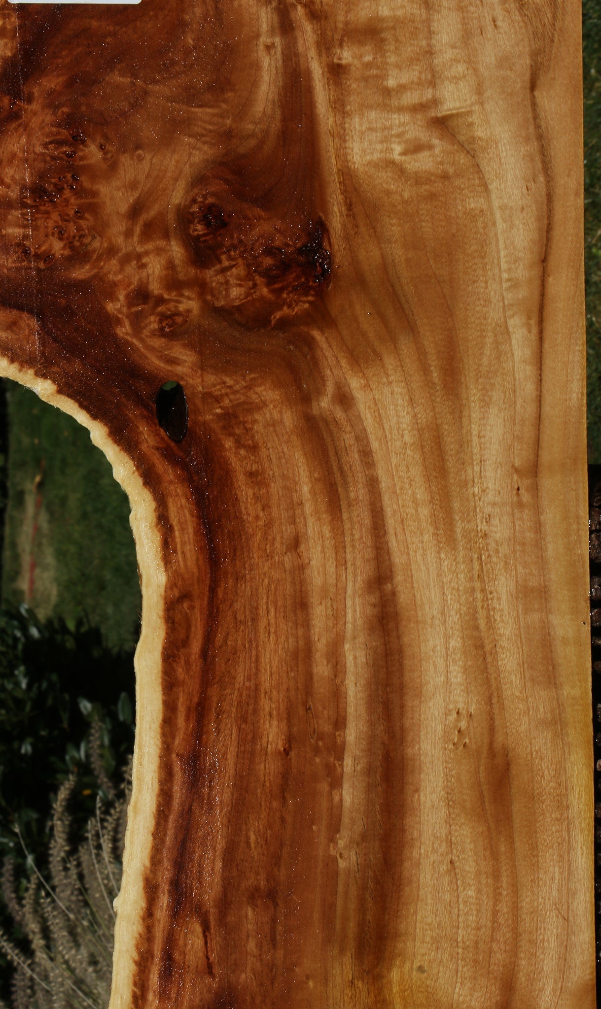 Figured Spalted California Cottonwood Burl Live Edge Lumber