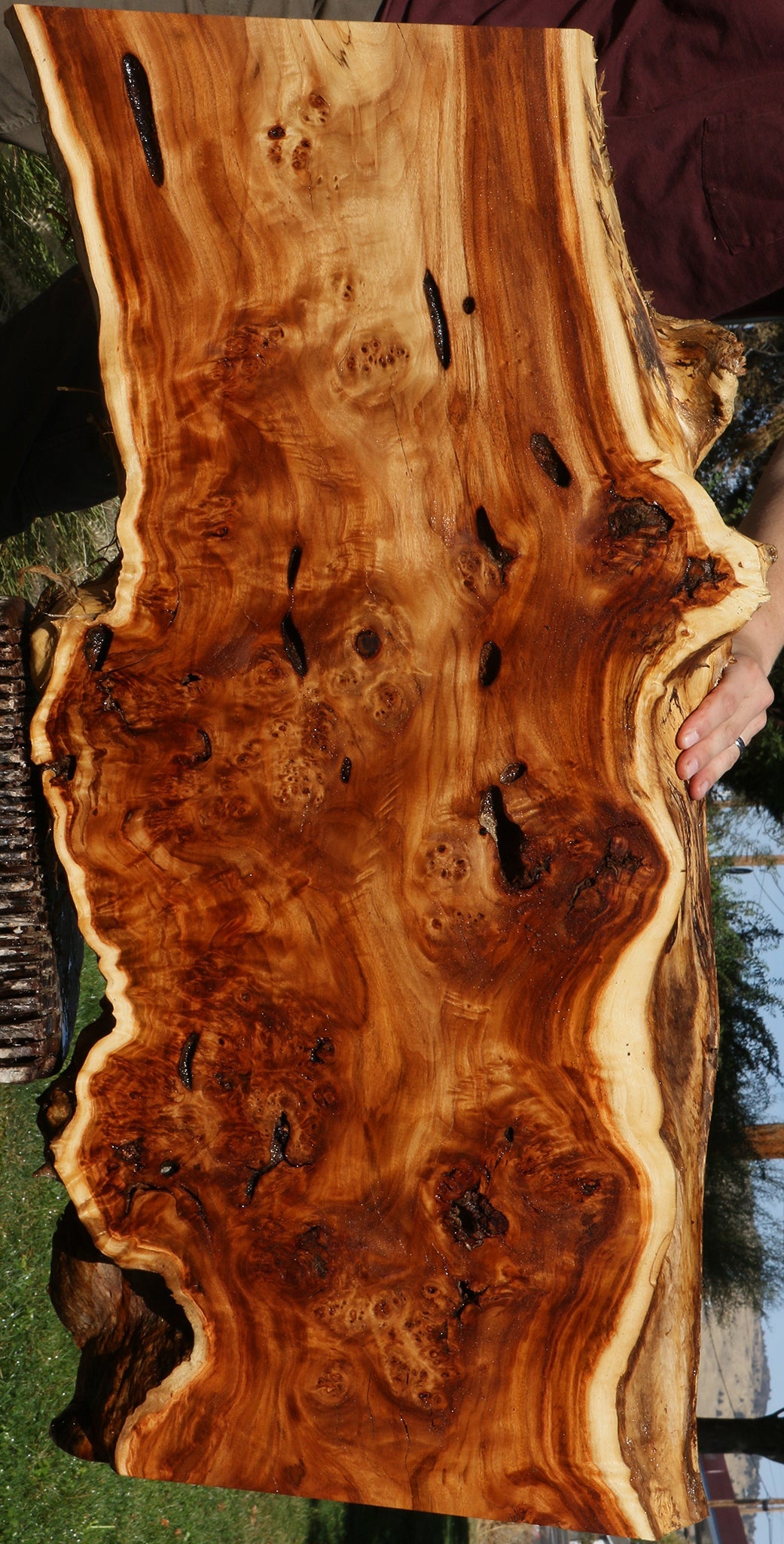 Rustic California Cottonwood Burl Live Edge Lumber