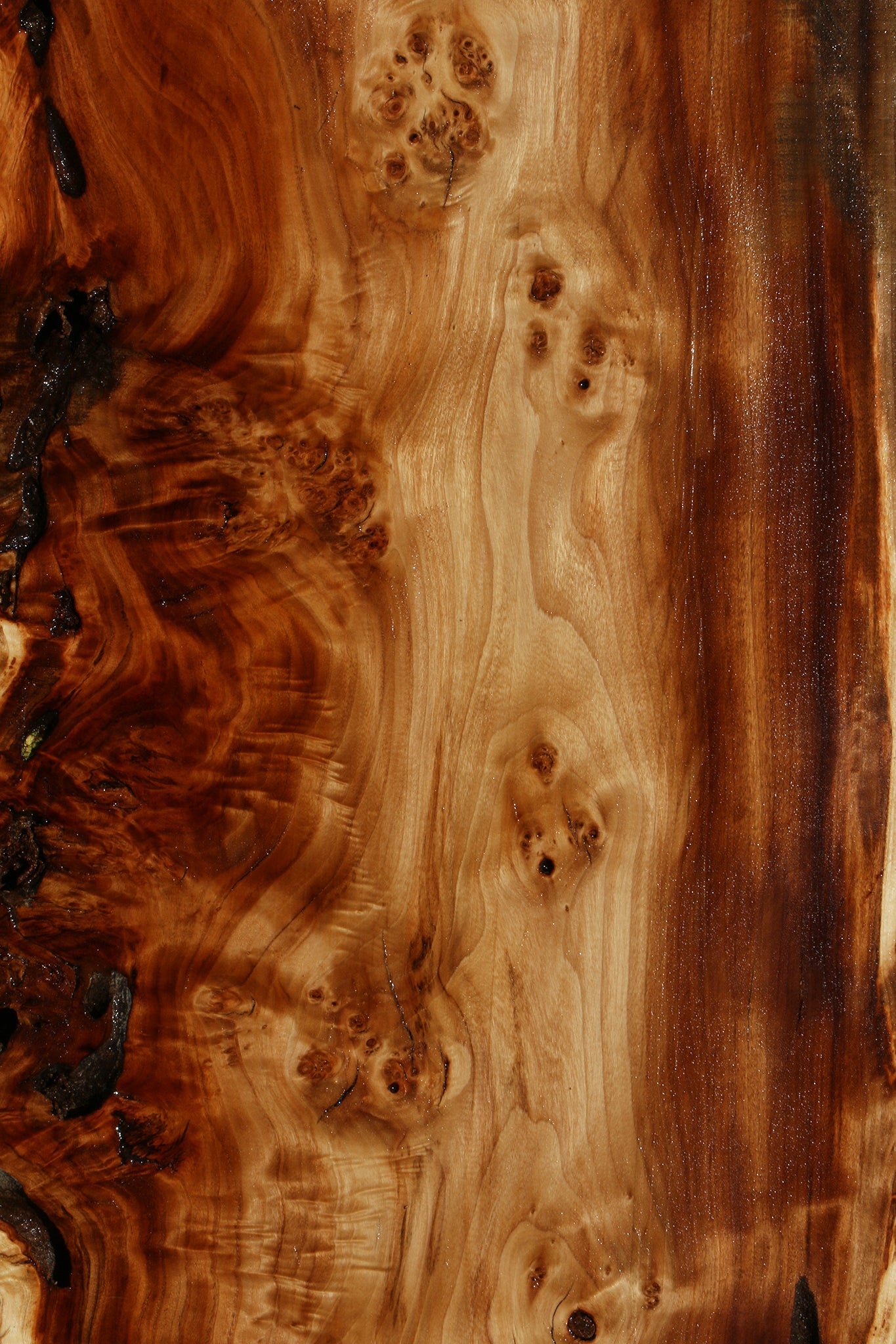 Rustic California Cottonwood Burl Live Edge Lumber