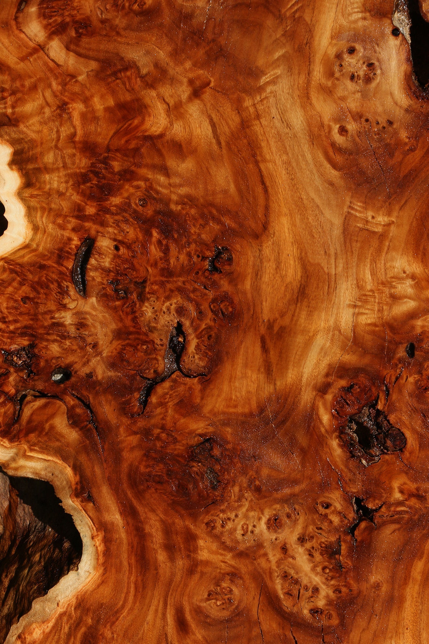 Rustic California Cottonwood Burl Live Edge Lumber