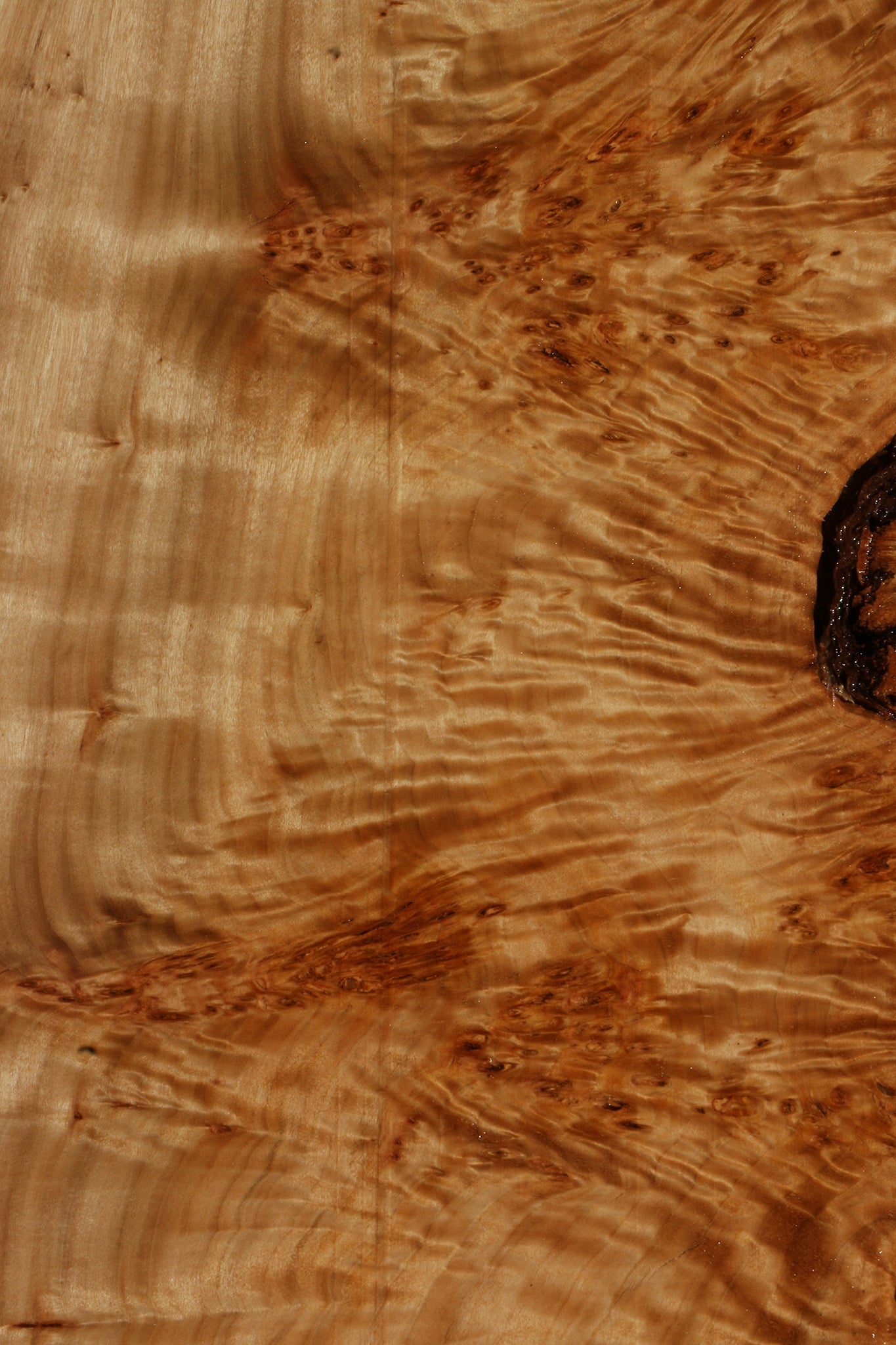 California Cottonwood Burl Live Edge Lumber