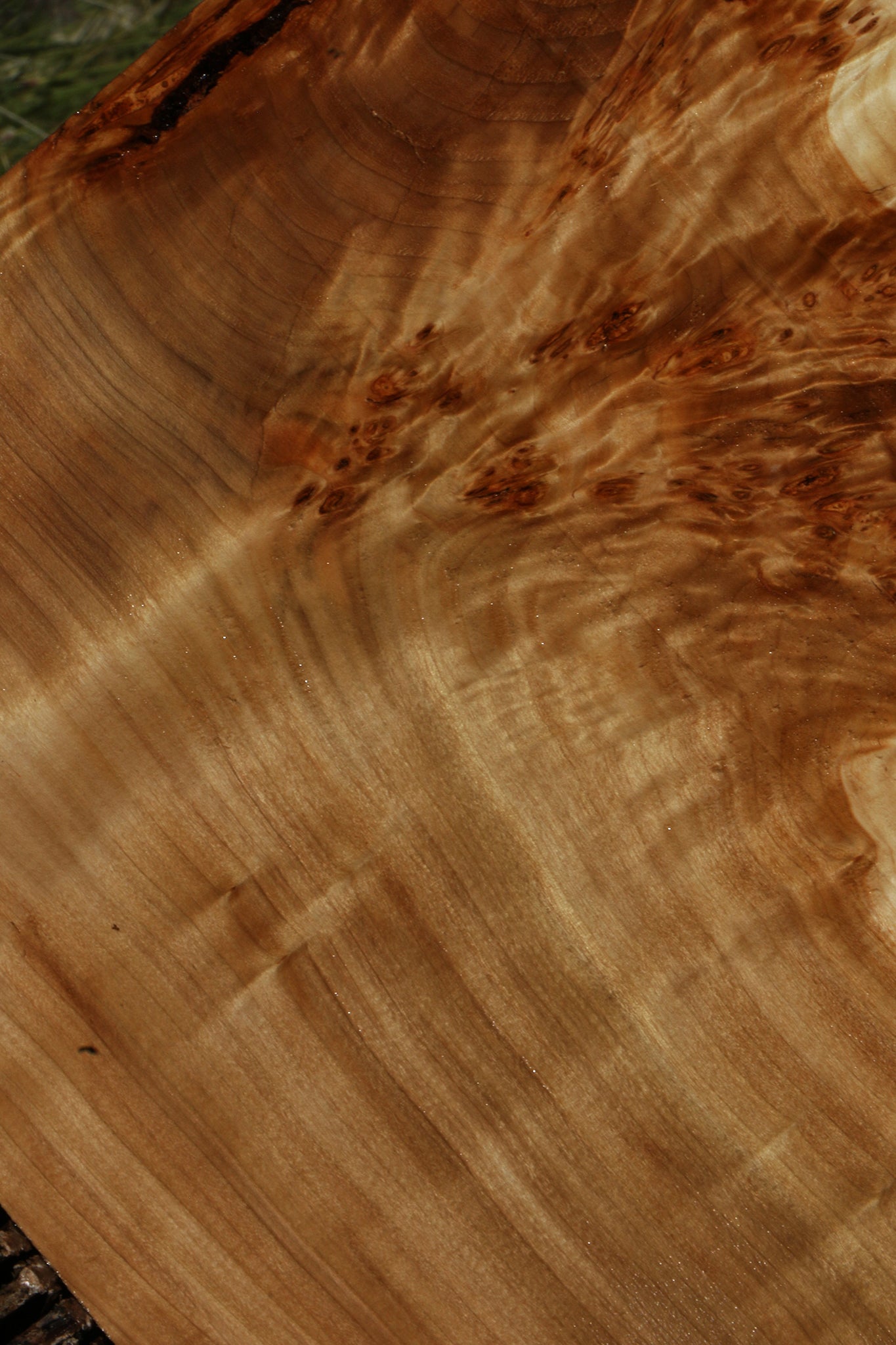 Figured California Cottonwood Burl Live Edge Lumber