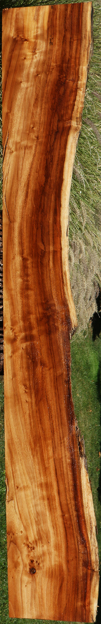 California Cottonwood Live Edge Lumber