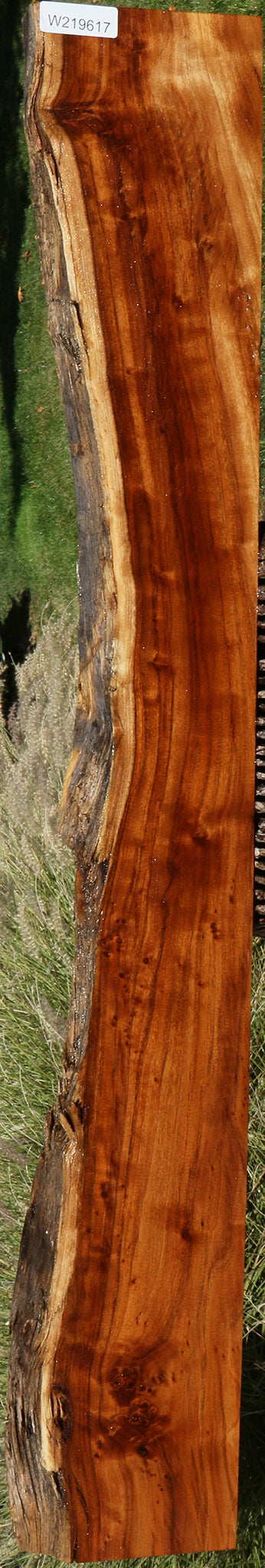 California Cottonwood Live Edge Lumber