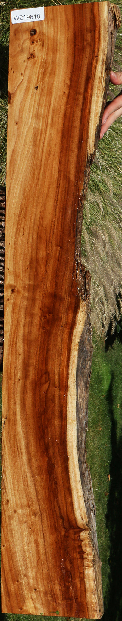 California Cottonwood Live Edge Lumber