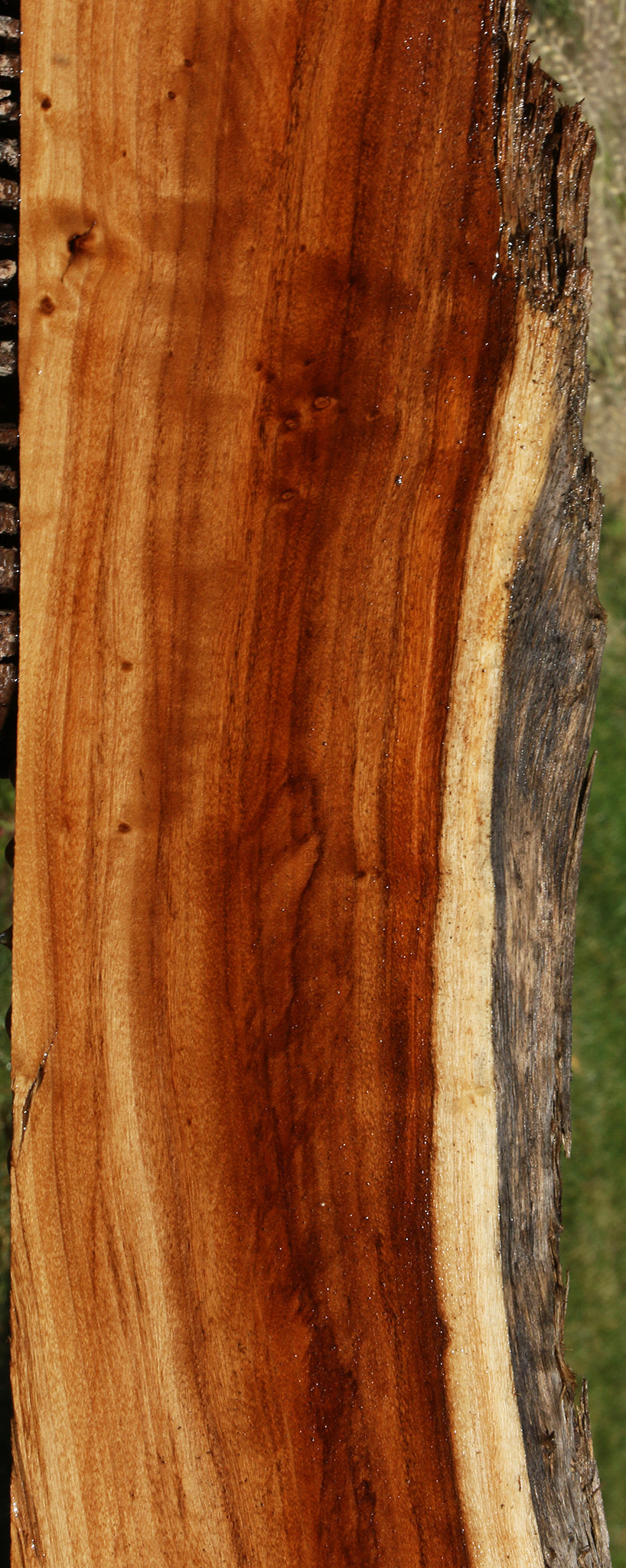 California Cottonwood Live Edge Lumber