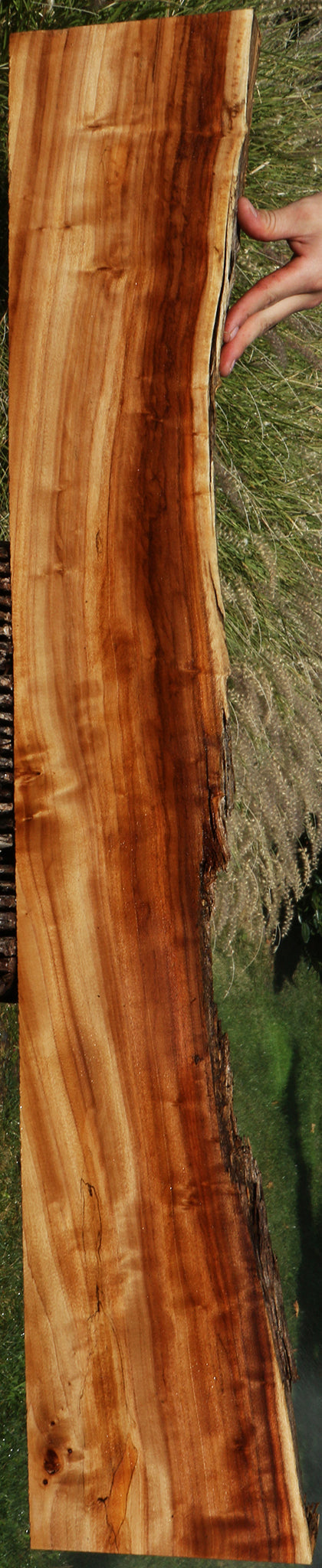 California Cottonwood Live Edge Lumber