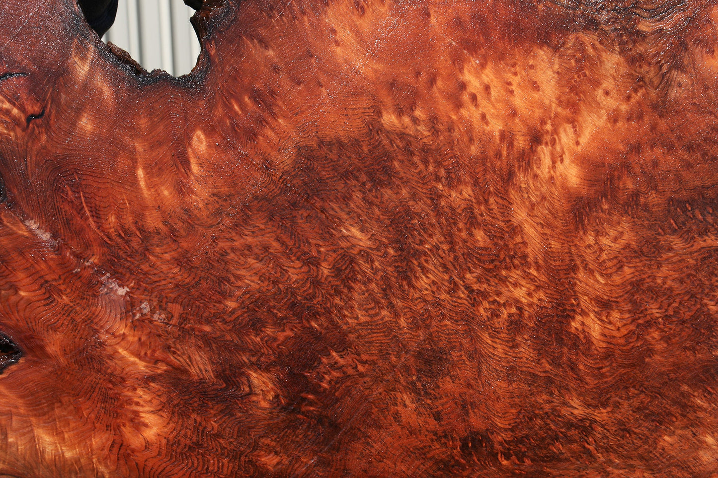 Extra Fancy Rustic Redwood Burl Live Edge Slab