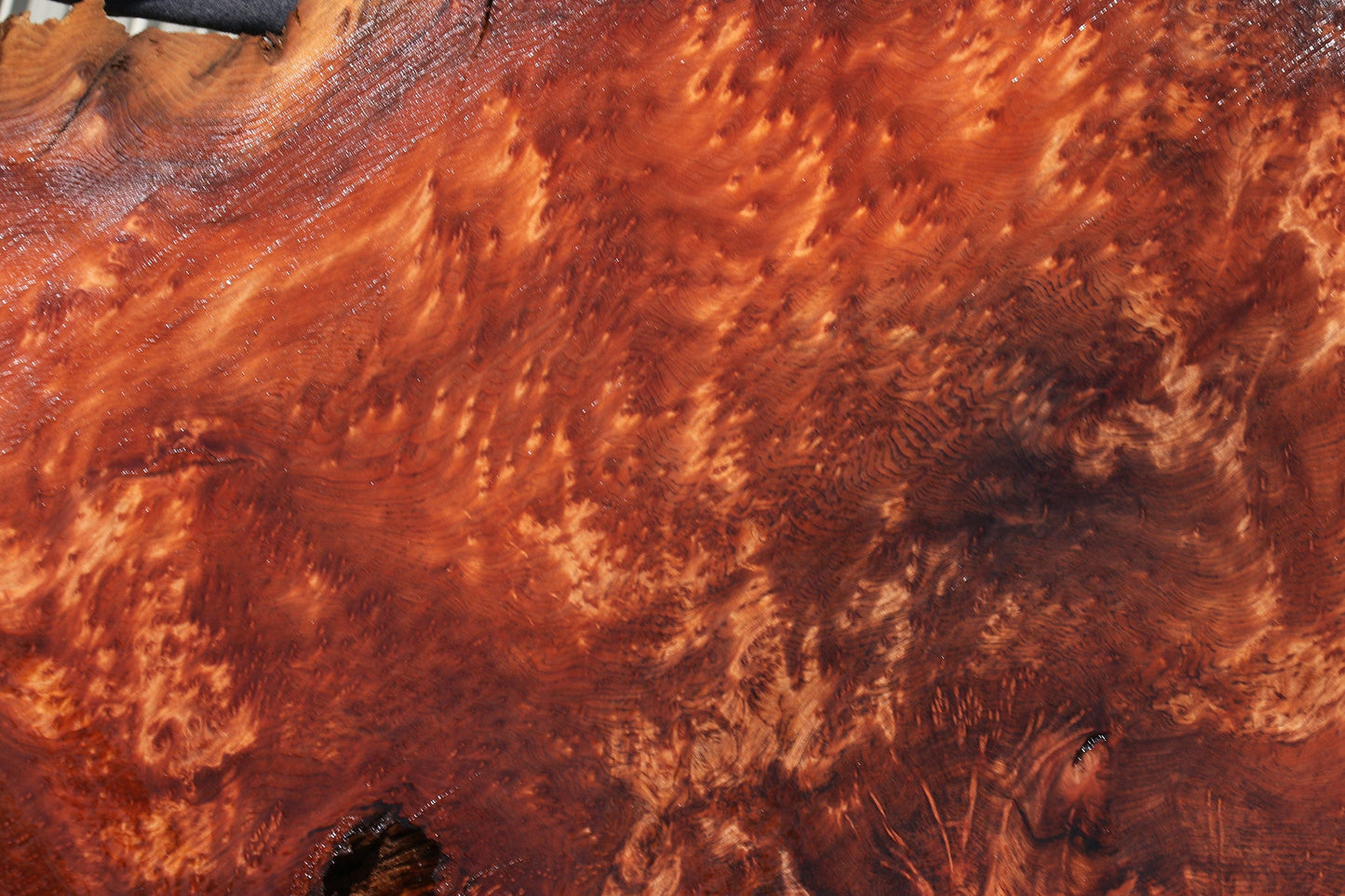 Extra Fancy Rustic Redwood Burl Live Edge Slab