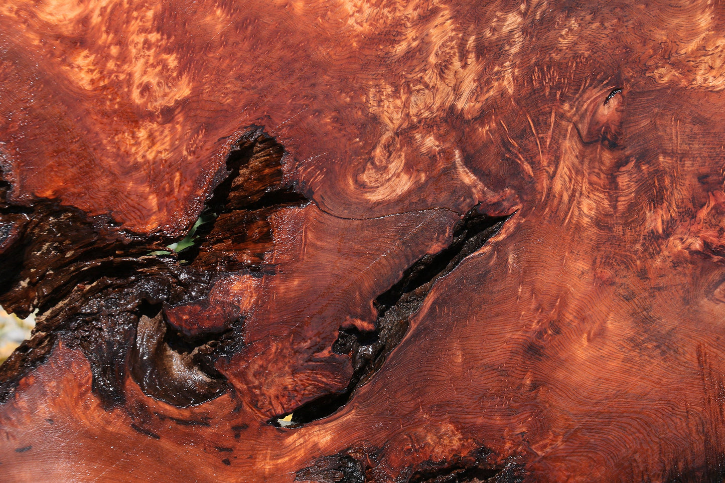 Extra Fancy Rustic Redwood Burl Live Edge Slab