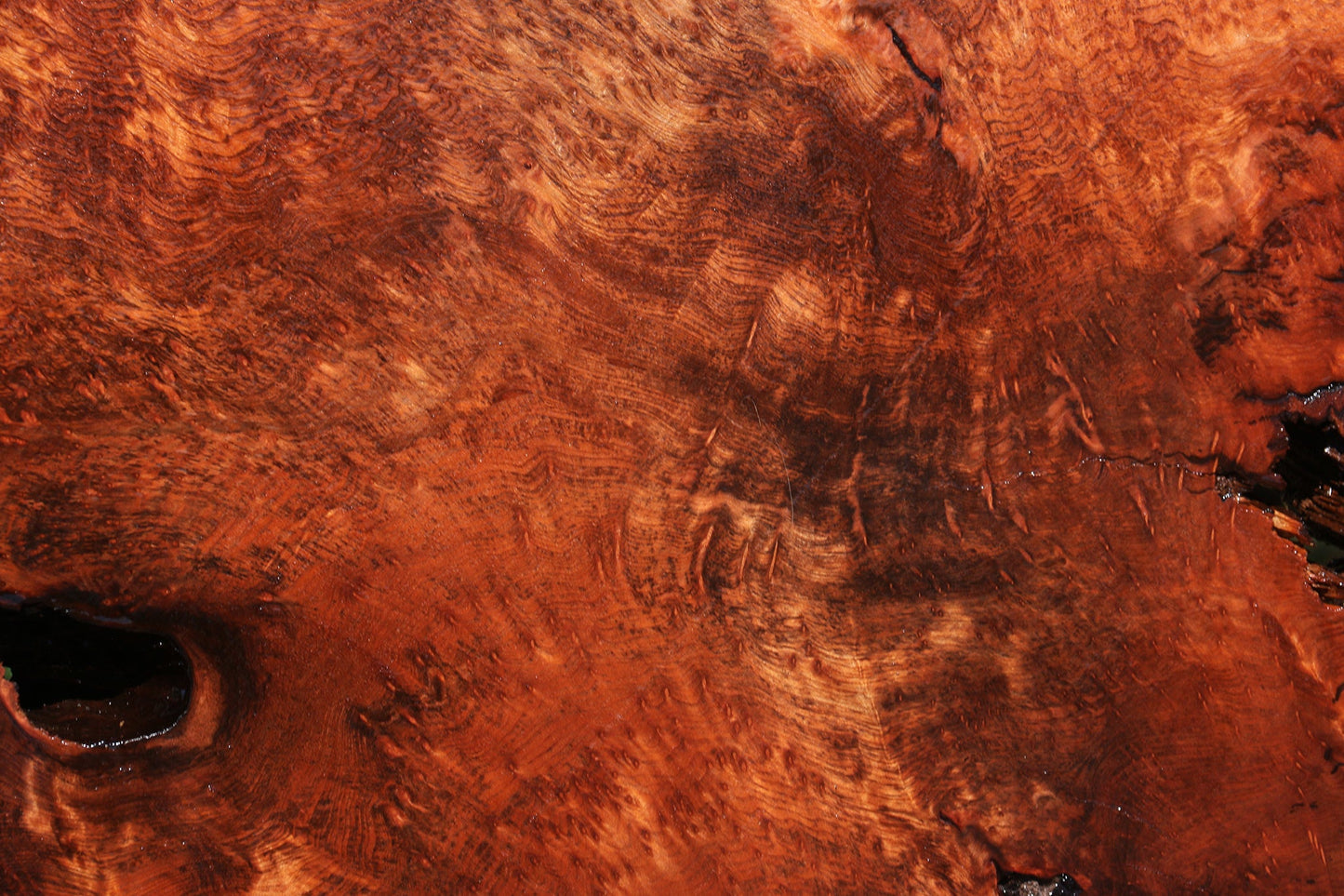 Extra Fancy Rustic Redwood Burl Live Edge Slab