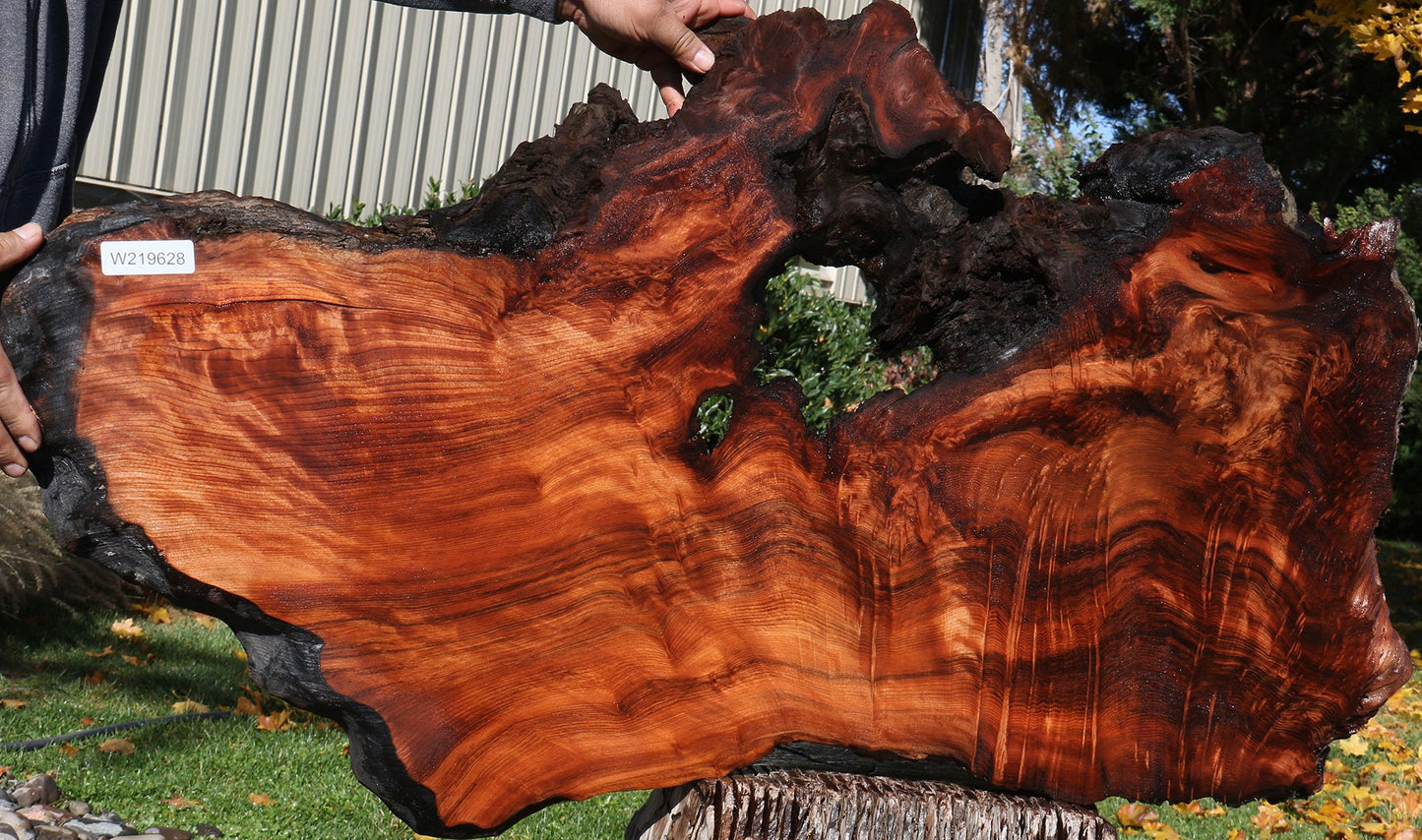 Extra Fancy Rustic Redwood Burl Live Edge Slab