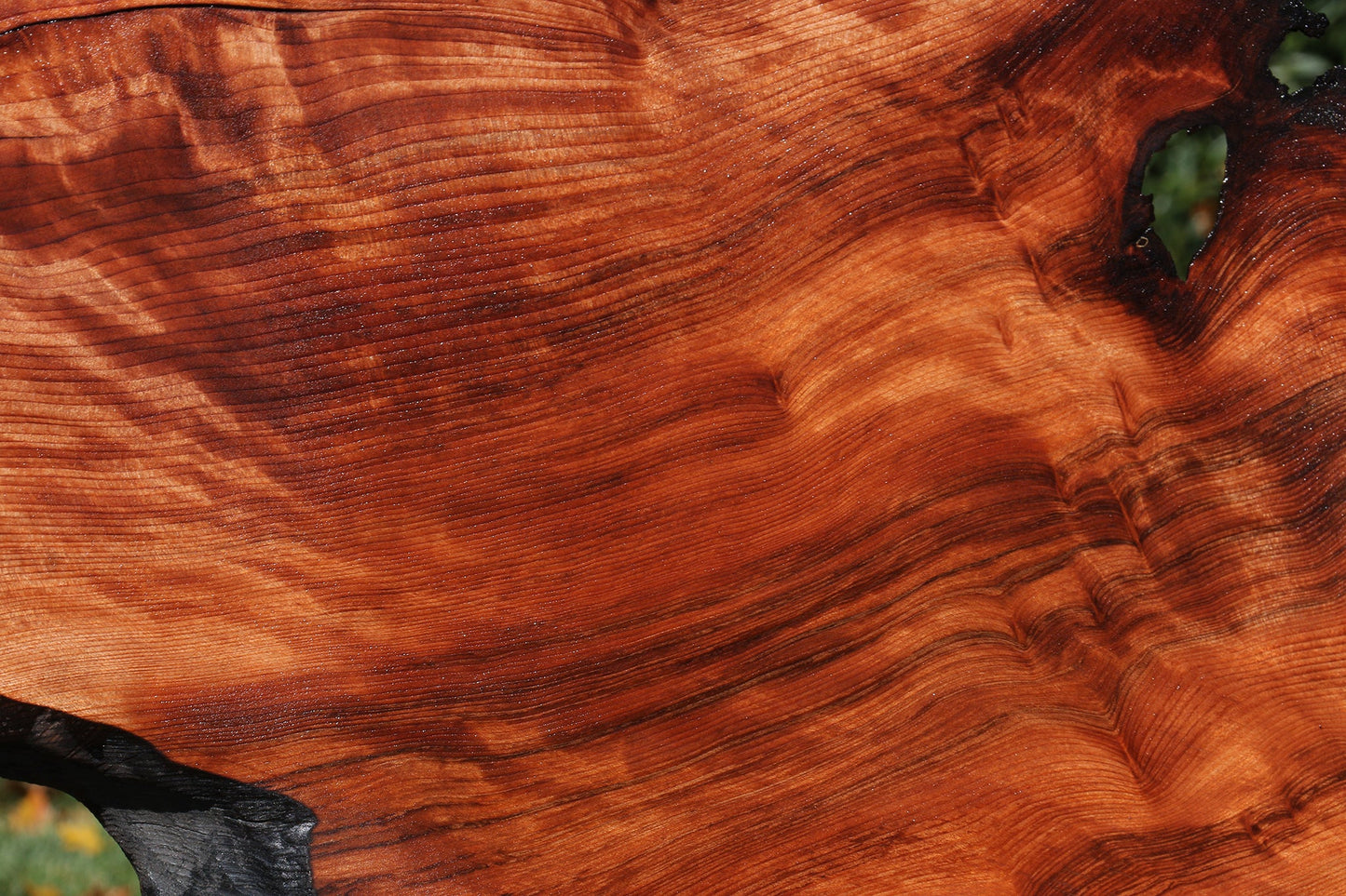 Extra Fancy Rustic Redwood Burl Live Edge Slab