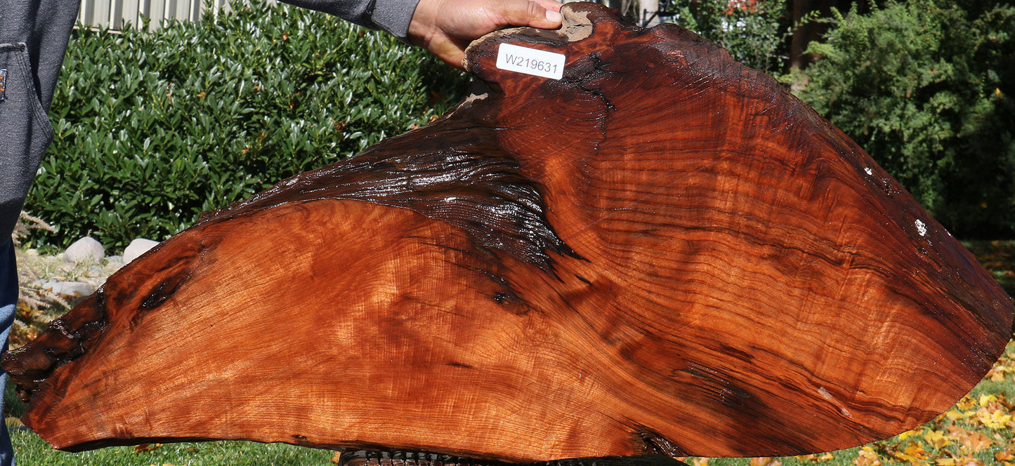 Figured Redwood Live Edge Mini Slab