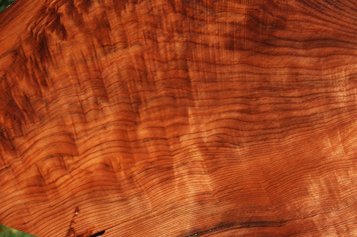 Figured Redwood Live Edge Mini Slab