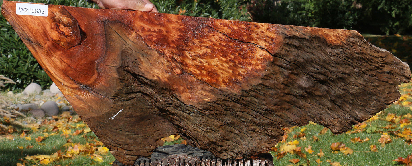 Rustic Redwood Mini Slab