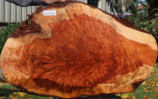 Redwood Burl Live Edge Mini Slab