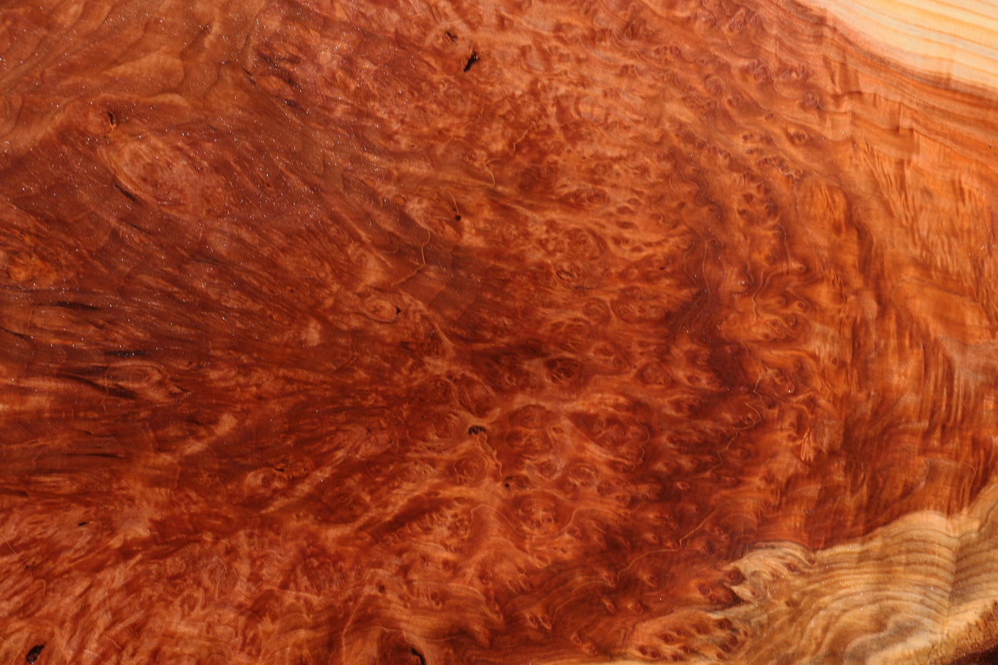 Redwood Burl Live Edge Mini Slab