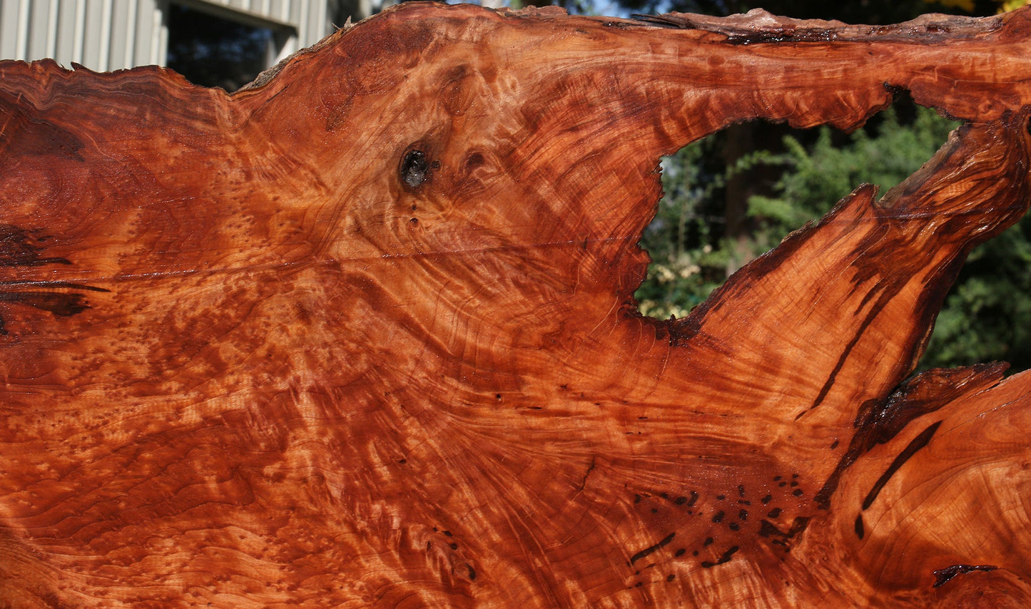 Rustic Redwood Burl Live Edge Slab (Free Shipping Excluded)