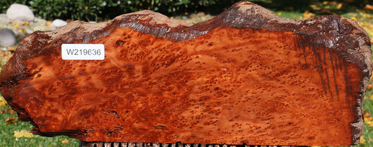 Redwood Burl Live Edge Lumber