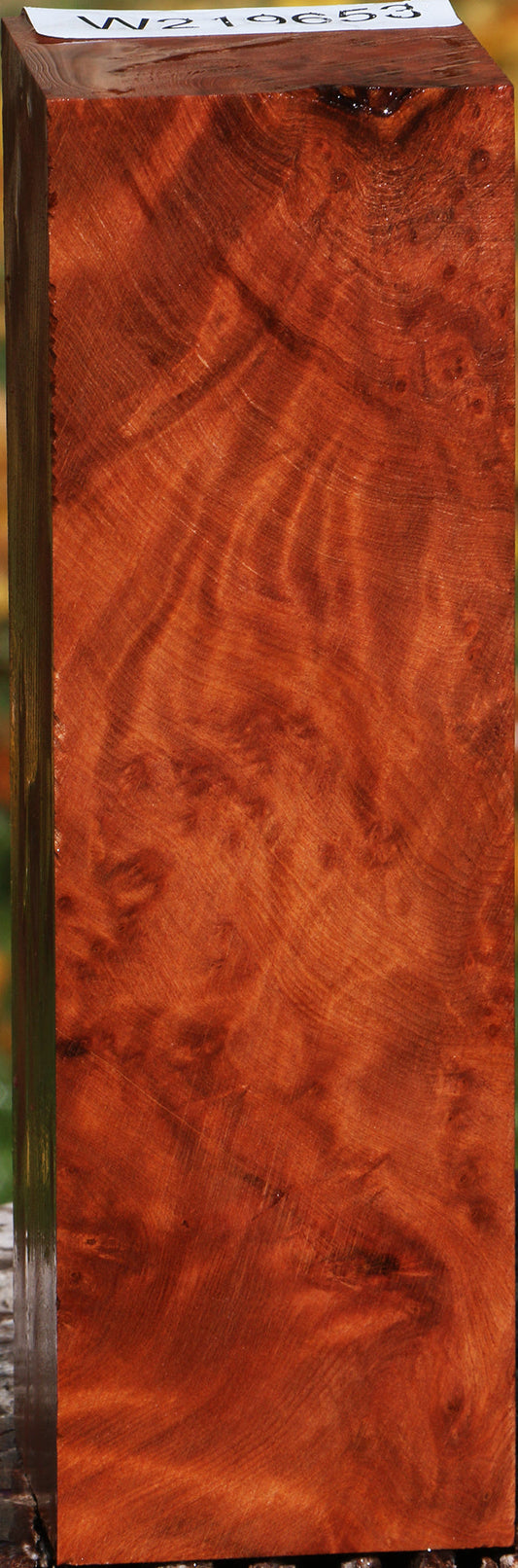 Redwood Burl Turning Square