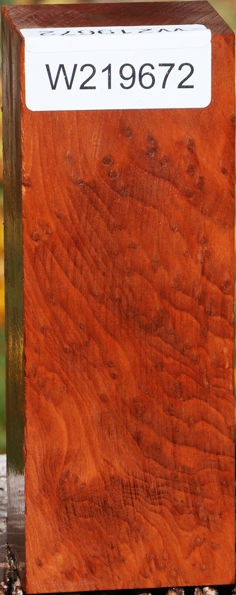 Extra Fancy Redwood Burl Turning Square